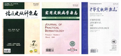 学术与研究成就